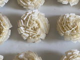 Ivory Rose Buttons Bundle Decorative Sequins & Beads Embellishments (14pcs)