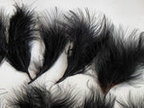 Craftuneed Bundle 19pcs Black Fluffy Craft Feathers Ideal for Millinery, Costume, Doll Making, DIY Projects