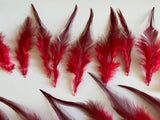 Craftuneed Bundle 23pcs Red Feathers with Tapered Pointed Tips and Fluffy down Ideal for Crafts, Costumes, Millinery