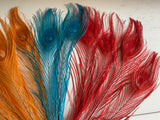 Craftuneed Bundle 11pcs Lagoon Blue Red Orange Peacock Feather hat mount Feather For Millinery DIY Art craft