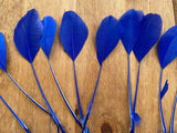 Royal Blue Goose Feathers DIY Craft Millinery Supplies (10pcs, 13-16cm Lengths)