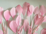 Craftuneed Bundle 40pcs Baby Pink Goose Feathers Soft Craft Feathers for DIY Hat Millinery Supplies