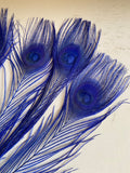 Craftuneed Bundle 8pcs Royal Blue Peacock Feather hat mount Feather For Millinery DIY Art craft