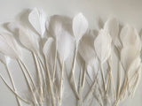 Craftuneed Bundle 30pcs Ivory Goose Feathers Soft Craft Feathers for DIY Hat Millinery Supplies