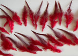 Craftuneed Bundle 23pcs Red Feathers with Tapered Pointed Tips and Fluffy down Ideal for Crafts, Costumes, Millinery