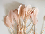 Craftuneed Bundle 34pcs Peach Pink Goose Feathers Soft Craft Feathers for DIY Hat Millinery Supplies