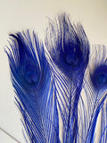 Craftuneed Bundle 8pcs Royal Blue Peacock Feather hat mount Feather For Millinery DIY Art craft