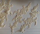 Craftuneed Bundle 6pcs champagne cream lace applique sew on embroidered floral lace motif patch
