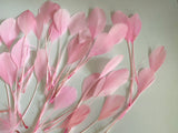 Craftuneed Bundle 40pcs Baby Pink Goose Feathers Soft Craft Feathers for DIY Hat Millinery Supplies
