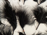 Craftuneed Bundle 19pcs Black Fluffy Craft Feathers Ideal for Millinery, Costume, Doll Making, DIY Projects