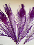 Craftuneed Bundle 7pcs Purple Peacock Feather hat mount Feather For Millinery DIY Art craft