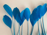 20pcs Lagoon Blue Goose Feathers For Millinery Hat Making Costume DIY Supplies