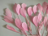 Craftuneed Bundle 40pcs Baby Pink Goose Feathers Soft Craft Feathers for DIY Hat Millinery Supplies