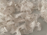 Craftuneed Bundle 16 Meters ivory floral cotton lace trim sew on dress edge lace trimming