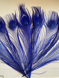 Craftuneed Bundle 8pcs Royal Blue Peacock Feather hat mount Feather For Millinery DIY Art craft