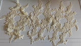 Craftuneed Bundle 6pcs champagne cream lace applique sew on embroidered floral lace motif patch