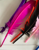 Craftuneed Bundle 9pcs Colourful large stripped hat mount feather hat for Millinery art craft diy