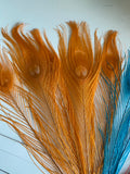 Craftuneed Bundle 11pcs Lagoon Blue Red Orange Peacock Feather hat mount Feather For Millinery DIY Art craft