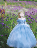 Handmade Sky Blue Doll Fairytale Ball Gown Miniature Dress & Petticoat 1/6 1/4 1/3 Scale
