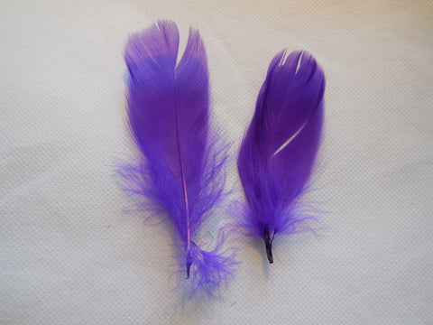 2pcs Purple Stripped Hat Mount feather Millinery DIY craft feathers for sale