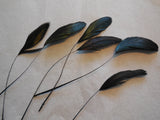 6pieces Stripped Hat Mount feather Millinery DIY craft feather 8colours choices