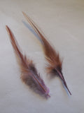 2pcs Brown + lilac Stripped Hat Mount feather Millinery DIY craft feathers