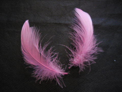 2pcs Sharp Pink Stripped Hat Mount feather Millinery DIY craft feathers for sale