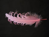 A piece Stripped Hat Mount feather Millinery DIY craft feather 4colours choices