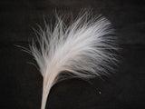 A Piece of White Shower Stripped Hat Mount feather Millinery/ DIY craft feather