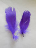 2pcs Purple Stripped Hat Mount feather Millinery DIY craft feathers for sale