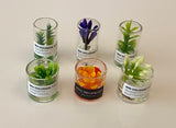 Craftuneed 1:6 Set of 6 miniature dollhouse indoor green plant doll mini flower resin vase props