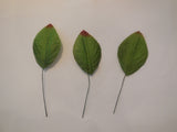 5 pieces Green Fabric rose leaves millinery hat diy leaves hair accessory leaves