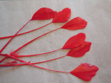 6pieces Stripped Hat Mount feather Millinery DIY craft feather 8colours choices