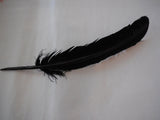 A large stripped hat mount feather / Millinery DIY craft feather is for sale. . Various colours . Sold by per piece