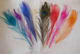 A Piece of peacock hat mount feather Millinery DIY craft feather is for sale.  Various colours . Sold by per piece