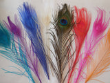 A Piece of peacock hat mount feather Millinery DIY craft feather is for sale.  Various colours . Sold by per piece