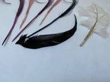 Job lot 7 pcs stripped hat mount feathers hat Millinery fascinator craft diy feathers